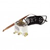 Regelungsthermostat mit Fühler COTHERM Typ JTAMH3060