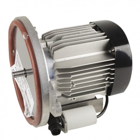 Motor ls 63 180W - ATLANTIC: 060078