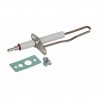 Ignition / flame sensing electrode - RIELLO : 4366966