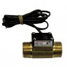 Durchflussdetektor mm1"
