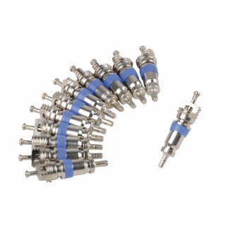 Kaltwerkzeug Ersatz Mikroventil   (X 12) - DIFF