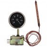 Regelungsthermostat mit Fühler Standard Typ AB 200