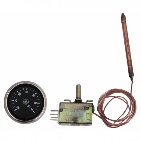 Temperaturregler mit Fühler  Standard Typ AB 100.a