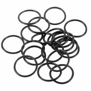 Dichtring (X 20) - SAUNIER DUVAL: S5466500