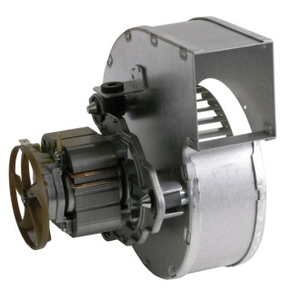 Gebläse - FERROLI: 39800440