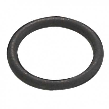O-Ring  (X 10) - DIFF für Saunier Duval: 05491500