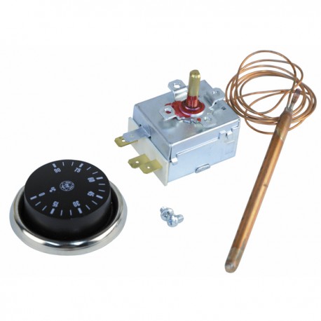 Control aquastat with bulb