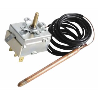 Rauchgasthermostat - RIELLO: 4035826